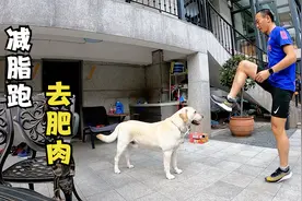 夏天还没到，一次20公里减脂慢跑就能降这么多体重视频封面