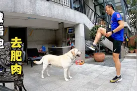 夏天还没到，一次20公里减脂慢跑就能降这么多体重视频封面