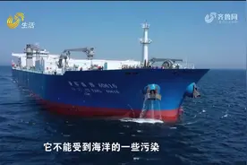 壮观！“国信一号”船载舱养深海大黄鱼收鱼成功，首批起捕约65吨视频封面
