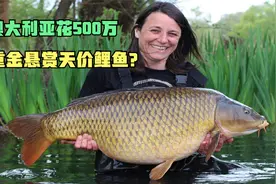 悬赏500万天价鲤鱼！这条鲤鱼做了什么，让澳大利亚重金通缉？视频封面