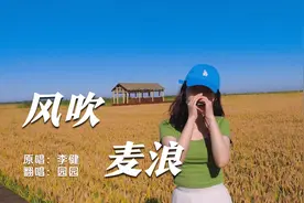 带着口琴去旅行吧｜口琴演奏《风吹麦浪》李健经典视频封面