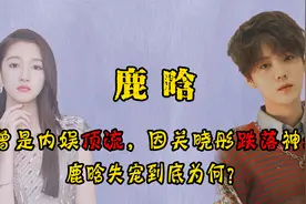 曾是内娱顶流，却因关晓彤跌落神坛？鹿晗失宠到底为何？视频封面