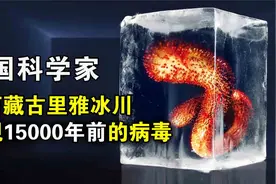 西藏冰川发现33种史前病毒，一旦病毒释放，会给人类造成威胁吗？视频封面
