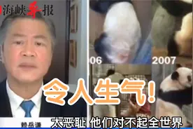 旅美大熊猫“乐乐”离世,赖岳谦:美动物园如此照顾熊猫很不负责任视频封面