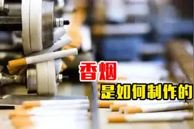 香烟的制作过程，像烂菜叶一样的烟丝，你以后还抽烟吗？