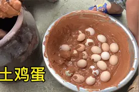西娃子用黄土腌土鸡蛋，挖泥巴意外挖出十只脚凶猛蜘蛛，很少见视频封面