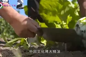 俗语“男怕水蛇腰，女怕小噘嘴”是什么意思？老祖宗教你识人术