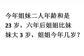 两人年龄和是23岁，六年后姐姐比妹妹大3岁，问姐姐今年几岁？