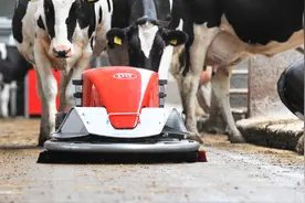 国外公司发明扫地机器人，专门清理顽固牛粪，铲屎官要失业了