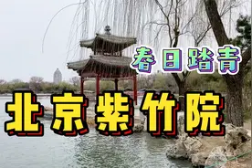 美翻了！实拍北京紫竹院公园春日花海！免费开放竟还作过皇家行宫视频封面