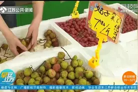 南京夏季水果降价啦！荔枝价格跳水，妃子笑7元一斤就能买到！视频封面