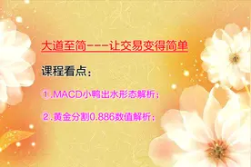 新手炒期货感觉很难 通过小鸭出水和0.886数值来解决视频封面