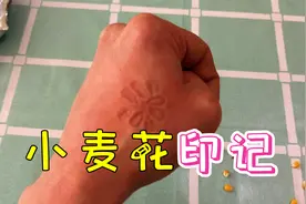 张国伟做的小麦花印记是真的吗？帅小伙实测！视频封面