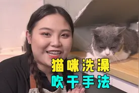超简单实用的猫咪吹干教程～人人都能学会