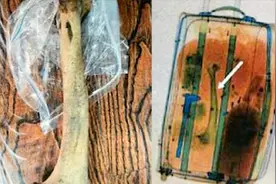 东北一农民工出国务工拾虎骨带回国获刑5年，经鉴定价值20万元视频封面