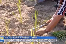 汾河入黄口：一泓清水，两岸锦绣视频封面