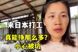 来日本打工3年挣三四十万？露露说出实情：小心被坑！听听咋回事视频封面