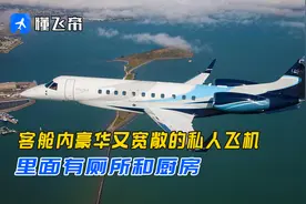 客舱内豪华又宽敞的私人飞机，能坐13人，还有厕所和厨房视频封面