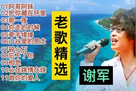谢军经典歌曲《阿哥阿妹》《那一夜》《你走的时候》《碎心石》