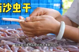 长得像蚯蚓的沙虫，只是长的形状不讨人喜欢，吃过的人却爱不释手视频封面