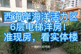 青岛西海岸海洋活力区稀缺6层电梯洋房，准现房，要哪个看哪个视频封面