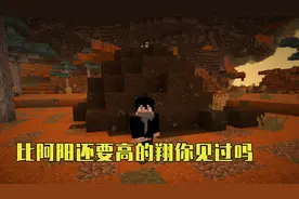我的世界Mod：阿阳进入了异世界，却发现了一坨比我还高的翔？视频封面