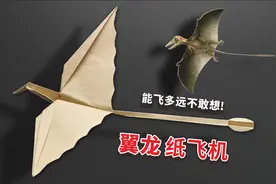 “翼龙”纸飞机你会折吗？飞的又远又稳，看一遍就能学会！