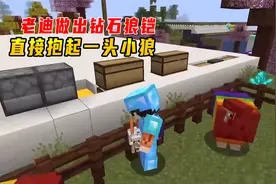 1.17更好的我的世界41：老迪做出钻石狼铠，直接抱起一头小狼