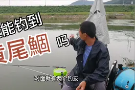 今天再战黄尾鲴，虽然钓获目标鱼，总体鱼获不佳，原因复杂视频封面