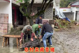 三位网友拼单买藏香猪肉，发到1000公里外的北京40斤肉运费280元视频封面