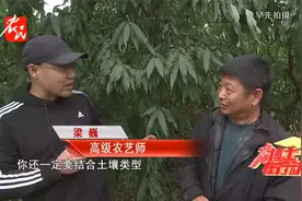 【农博士】 牛粪 鸡粪 羊粪 哪种粪肥最好？视频封面