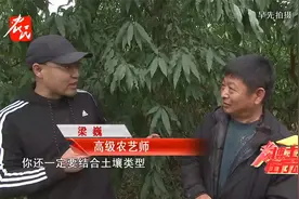 【农博士】 牛粪 鸡粪 羊粪 哪种粪肥最好？视频封面