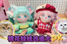 棉花娃娃改造大PK，蛋饺VS蛋花，谁能赢得罐罐呢？视频封面