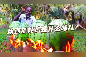 印度大爷用西瓜炖鸡，直接上火开始烧，味道你别说还真地道视频封面