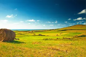 虚心使人进步，骄傲使人落后。- {毛泽东}视频封面