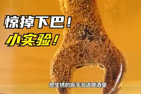 在家自制水果电池，简易的吸铁石，灭火器的原理，带你解锁更多！视频封面