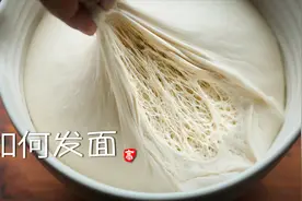 如何发面 干货讲解深入了解发酵点滴视频封面