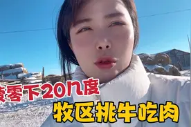 内蒙牧场零下20度挑牛宰肉，草原正宗黄膘牛肉，冬季雪地喂养牧草视频封面