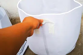 替代花盆的好东西，一个只要一块多钱，路兮一次买了20个视频封面