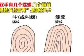 你双手指纹有几个螺螺，几个簸箕？“螺越多越富贵”是真的吗？