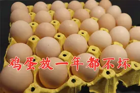 吃不完的鸡蛋别再放冰箱了，鸡场老板教我土方法，一个月都不会坏视频封面