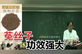 倪海厦老师讲解【菟丝子】，功效强大