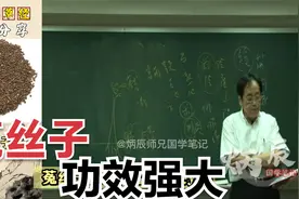 倪海厦老师讲解【菟丝子】，功效强大视频封面