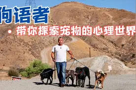 报告狗班长_狗语者 110 矫正爱吠叫的狗狗视频封面