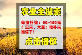 每亩补贴：90~150元！玉米、大豆：粮补来准信了！视频封面
