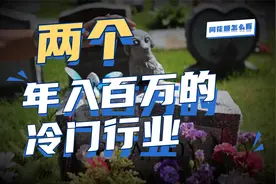 00后，轻松年入百万，两门小众生意视频封面