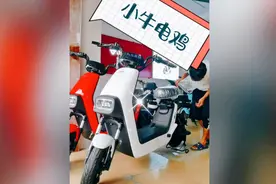 2499入手了，一台可以遛狗的电动车。。。