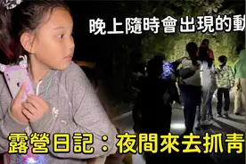 露营日记：夜间来去抓青蛙 晚上随时在路上都会出现动物视频封面