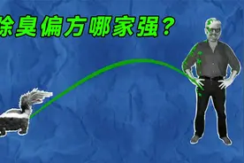 民间除臭妙法，居然还有美国妇炎洁？视频封面