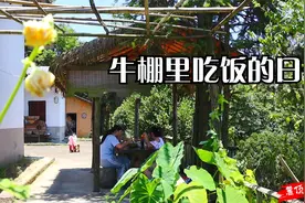 长沙近40度高温，一家人在山顶牛棚吃饭却羡煞城里人，你愿山居吗视频封面